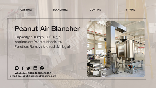 Latest company news about পেঁয়াজ বায়ু Blanching মেশিন --পেঁয়াজ Blanching শিল্পের জন্য একটি নতুন পছন্দ