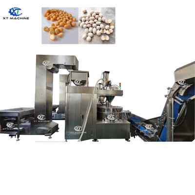 ভালো দাম Manufacturer Direct Supply Fish Skin/Broad Bean/Peanut and Melon Seeds Batch Automatic Coating Machine with PLC & Gearbox অনলাইন