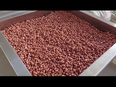 পিএলসি কন্ট্রোল ক্রমাগত বাদাম চুলা ক্রমাগত বাদাম রোস্টার ড্রায়ার / রোস্টার