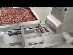 জেড টাইপ এলিভেটর কনভেয়র