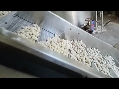 ক্রমাগত ফ্রাইং মেশিন