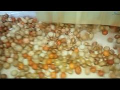 লেপন এবং ভাজা উৎপাদন লাইন