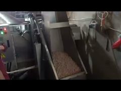 পেঁয়াজ ব্যাচ ফ্রাইটার