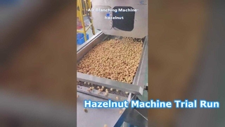 Hazelnut মেশিন ট্রায়াল রান ভিডিও এখানে! খাদ্য প্রক্রিয়াকরণ উদ্ভিদের জন্য নিখুঁত পছন্দ। #মেশিন